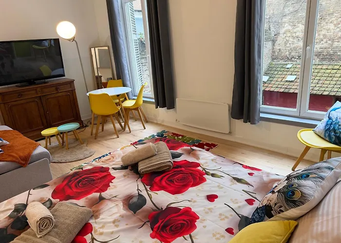 Cosy Bora Bora-Confort Pour 4 Personnes A Amiens * Amiens